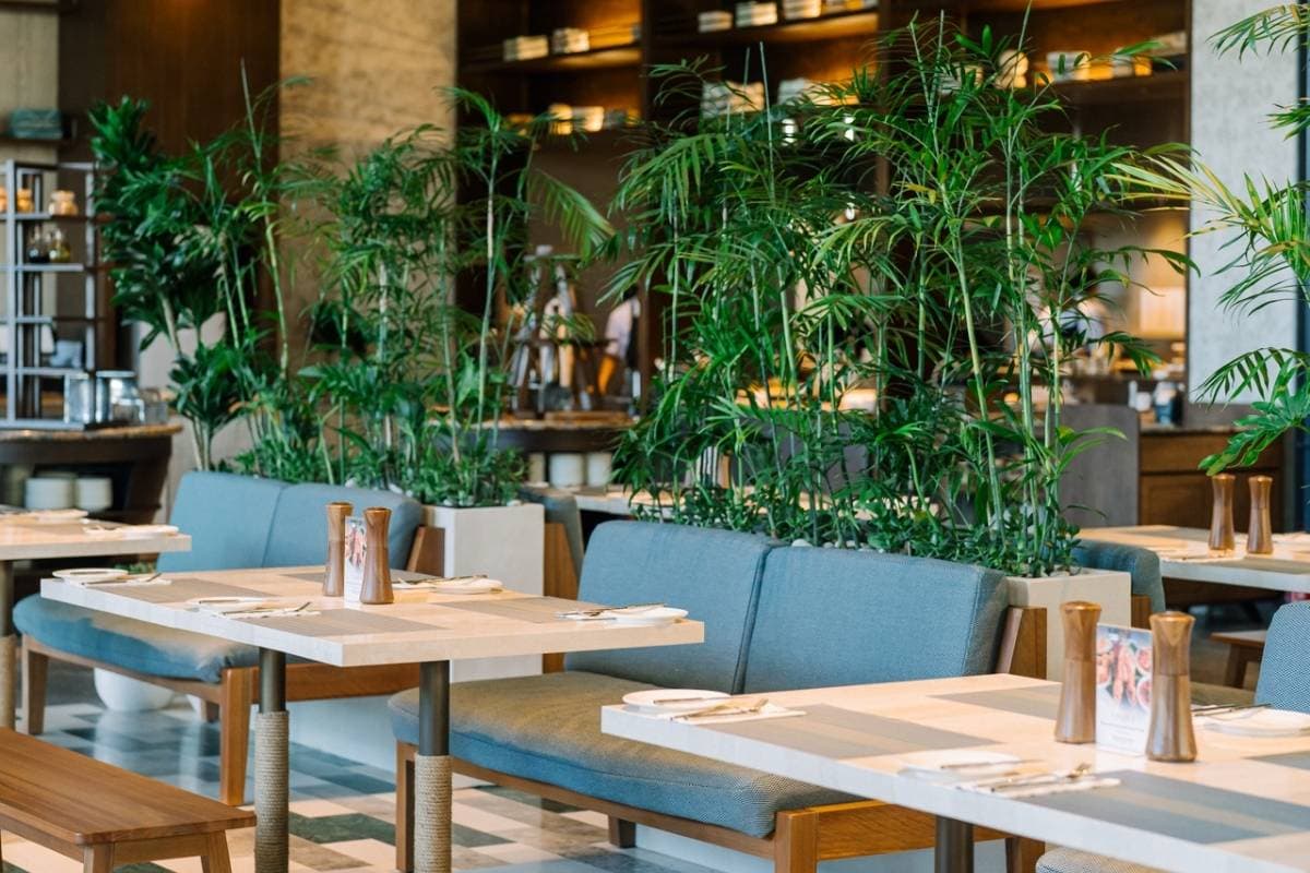 10+ Best Restaurants In Canggu For Every Occasion